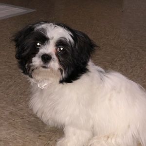 Meet your Posher, Jeff